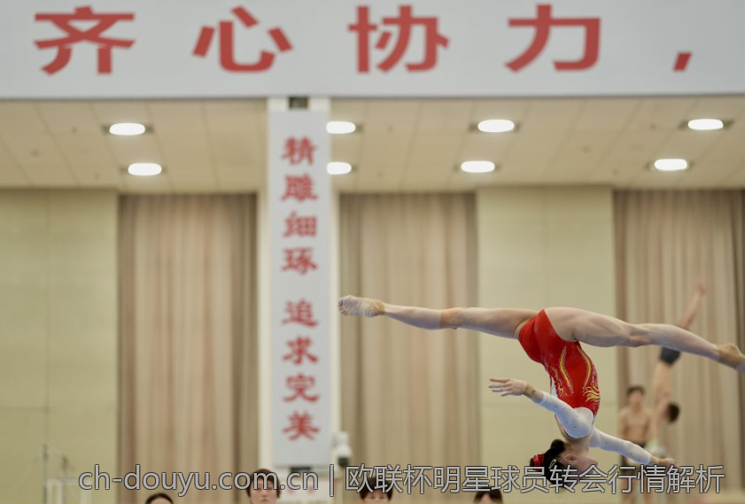 欧联杯明星球员转会行情解析